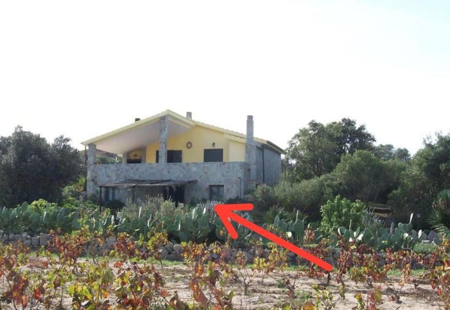 L'Oasi Villa SantʼAntìoco Esterno foto